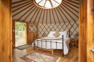 Les Yourtes de Provence - 蓬圣埃斯普里