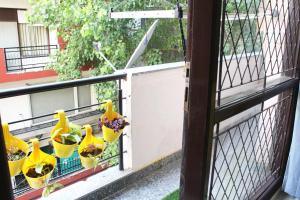 Air Purifier - Spacious 1BHK Suite with 2 baths 12