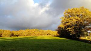 Maison dhôtes Tripn Touille
