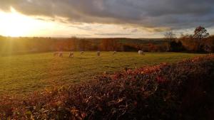 Maison dhôtes Tripn Touille