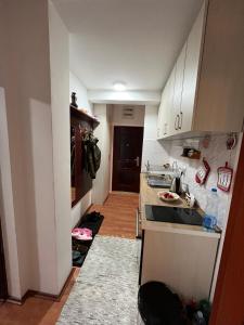 Apartman Cogan - 100m from Gondola - Brzece