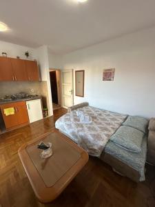 Apartment Stex 4