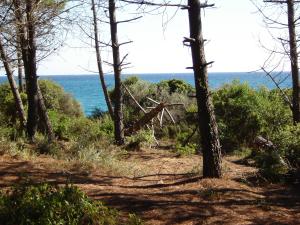 Appartements Appartamento con 2 camere da letto a 200 m dalla spiaggia : photos des chambres