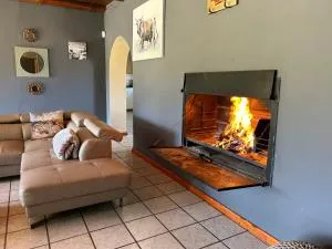 Plaashuisceres - Lochlynne