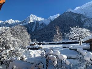 Appartement Yoga - Vues Chaîne du Mont-Blanc - Calme - Espace Yoga Spacieux - 4hvězdičkové hotely ve městě Les Houches