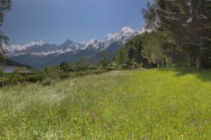Chalets Le Chalet des Chavants - 8ch - 300m2- Grand Jardin - Vues du Mont-Blanc : Chalet