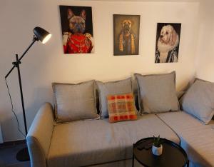 B&B / Chambres d'hotes LA MAISON BARNOIN - gites et chambres : photos des chambres