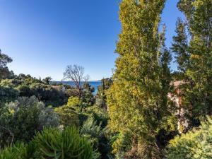 Appartements Apartment Carpe Diem by Interhome : photos des chambres