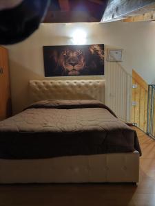 Residence San Miguel 8