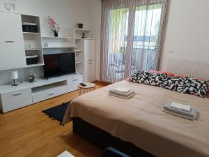 Apartman Tino