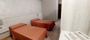 Hotel Trotter