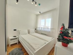 Apartman Jović - Zlatni dan - Zlatibor