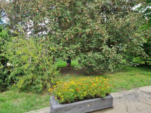 PETIT GÎTE 18 ème tout confort