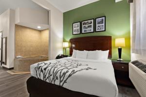 King Room with Whirlpool - Non-Smoking room in Sleep Inn & Suites near Joint Base Andrews-Washington Area
