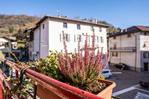 Balconi Rossi Borgo Valsugana