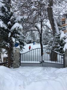 Auron Chalet Casanova centre et pistes à pied