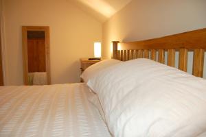 Anneddle Cottage in Talybont, near Barmouth