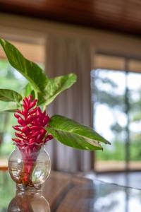 Frenchmans Cove Resort