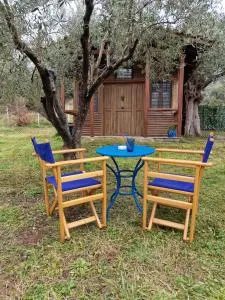 Wooden Beach House - 皮加迪卡