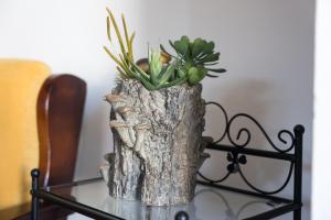 Appartamento da Manzela img10