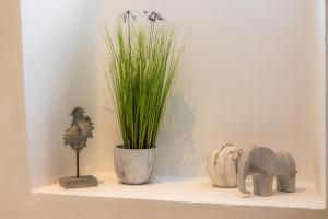 Apartamento Can Roses