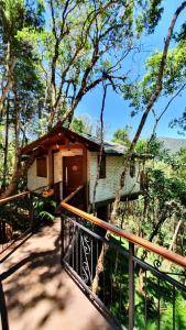 Mushrooms Ecovillage