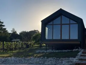 Pelsonius Vendégház - 切尔塞格托毛伊