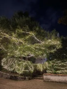 La Ville - Torre del Greco