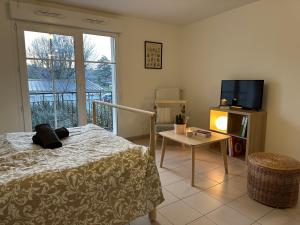 Appartements Grand studio cozy lumineux : photos des chambres