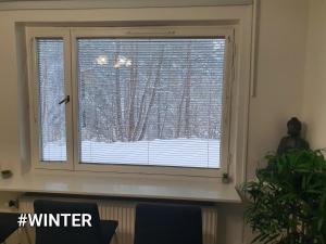 Close to the metro and the beach!!! with a view of the Scandinavian forest