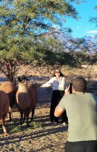 Cabañas Voyage Atacama