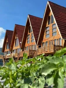 Royal Cabin Dieng - 班查內加拉