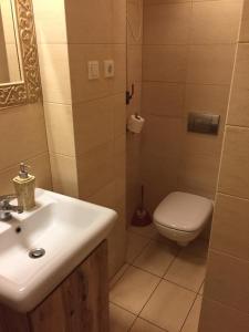 Kawalerka Fredry 313