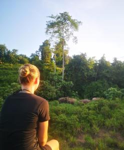 Wild Lodge Taman Negara
