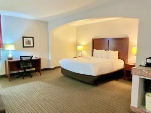 Premium King Room - Non-Smoking room in Quality Inn Battle Creek