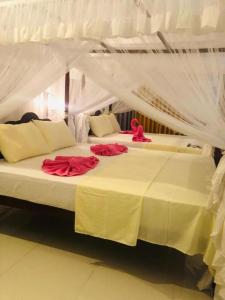Coral Palm Villa and Apartment