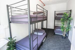 Bed in 4-Bed Mixed Dormitory Room room in Hump Backpackers