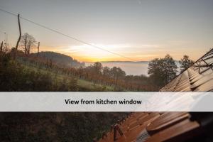 Vineyard cottage Škatlar 3