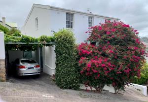 Bougainvillea House - The Heart of Simonstown