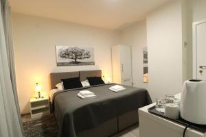 Apartmani i sobe Laganini