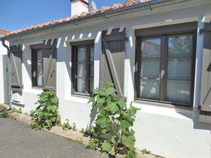 Maisons de vacances Tulipe Maison hyper centre 3pers et sa cour au calme avec wifi : photos des chambres