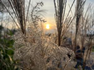 Sunset- Dom zachód słońca Spa