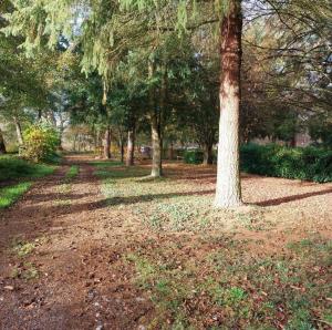 Campings Chalet Beau Rivage : photos des chambres