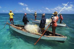 chez ronald guest house