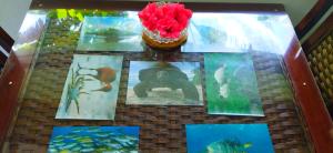 Dan Zoranz Self Catering Guest House