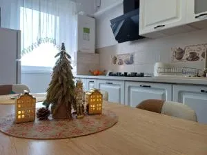 Apartament Ramonte - 泽尔内什蒂