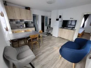 Casa Toplita - 托普利察