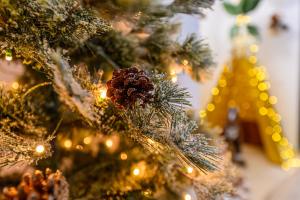 Safari Family Villas near Park Aventura,Lake,Zoo