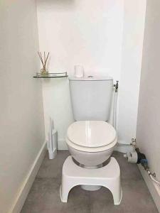 La parenthèse lyonnaise