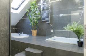 Appartements Nouveau - Le Funtastic - Europa Park Rulantica : photos des chambres